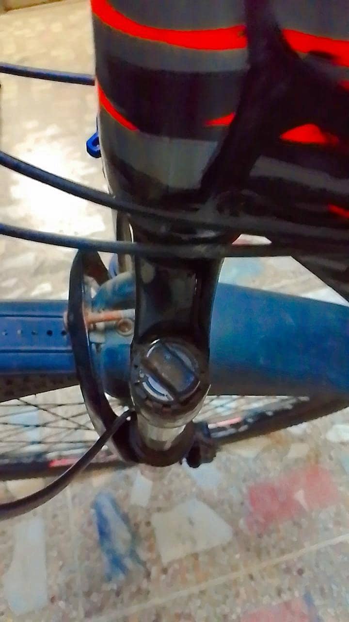 Royal Rider bicycle 6
