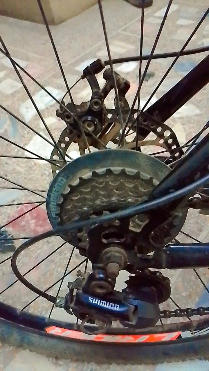 Royal Rider bicycle 7