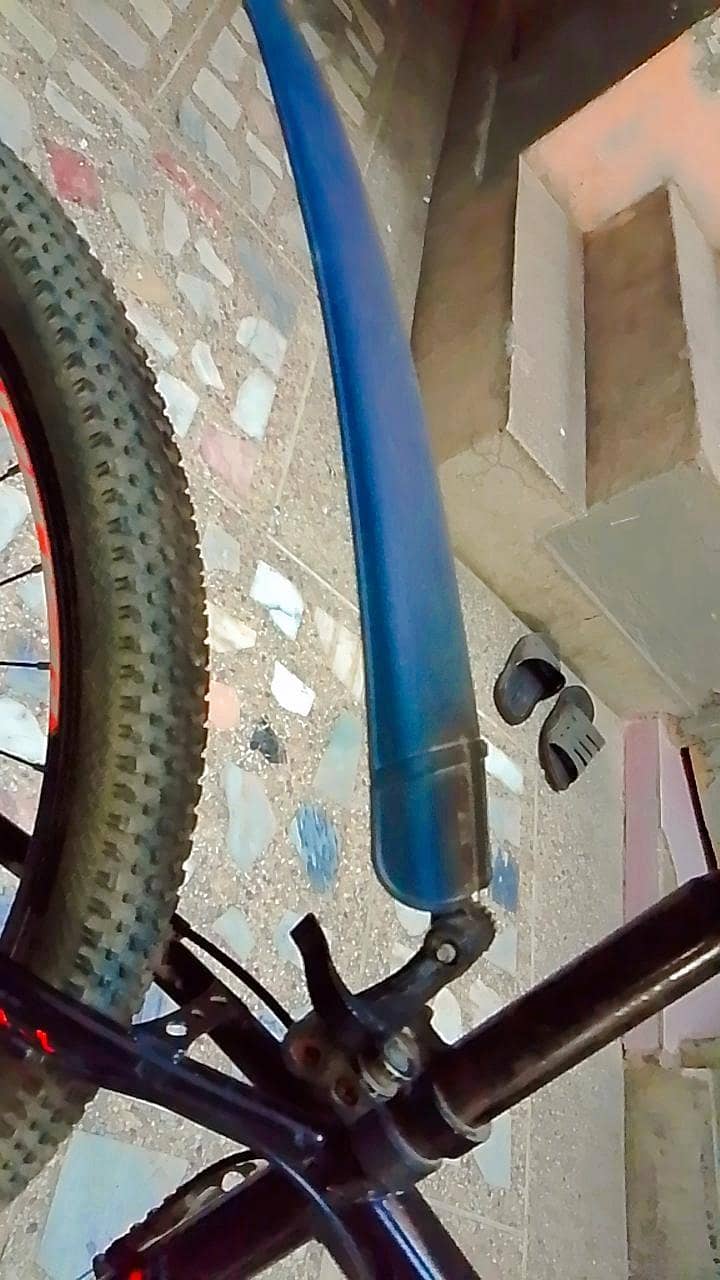 Royal Rider bicycle 8