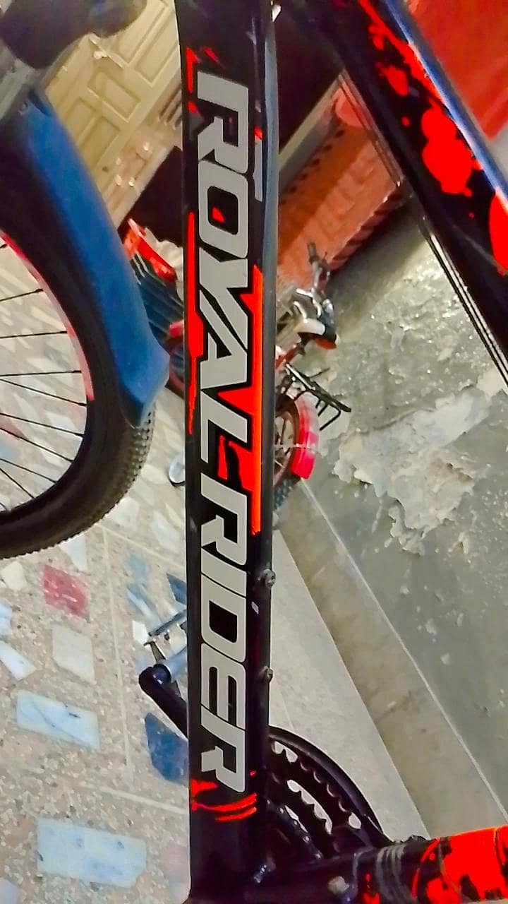 Royal Rider bicycle 9