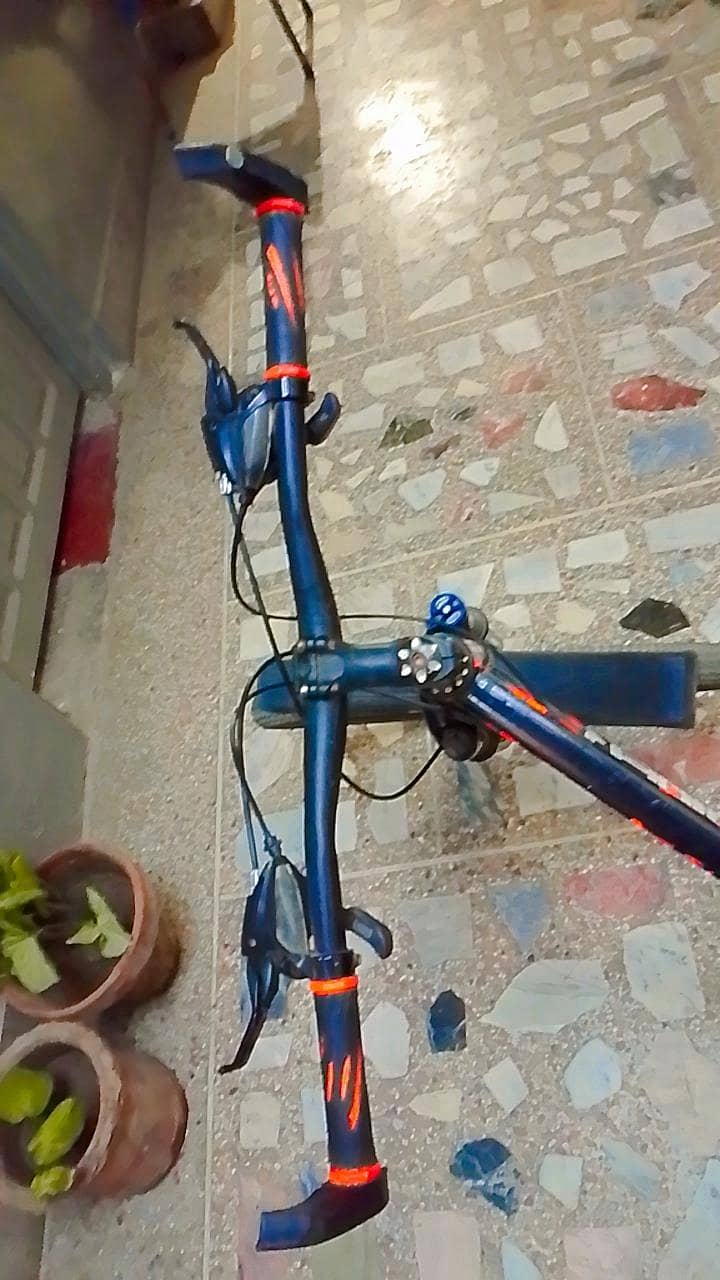 Royal Rider bicycle 10