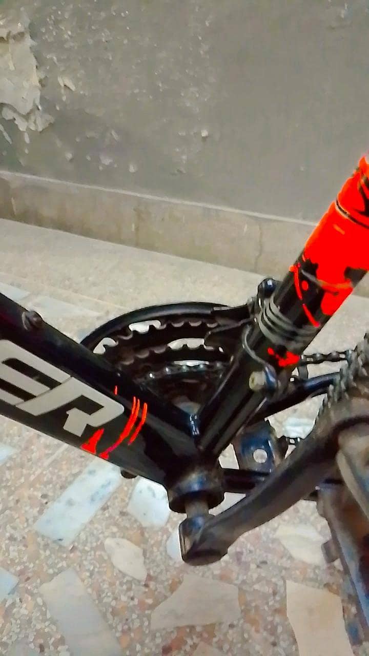 Royal Rider bicycle 11