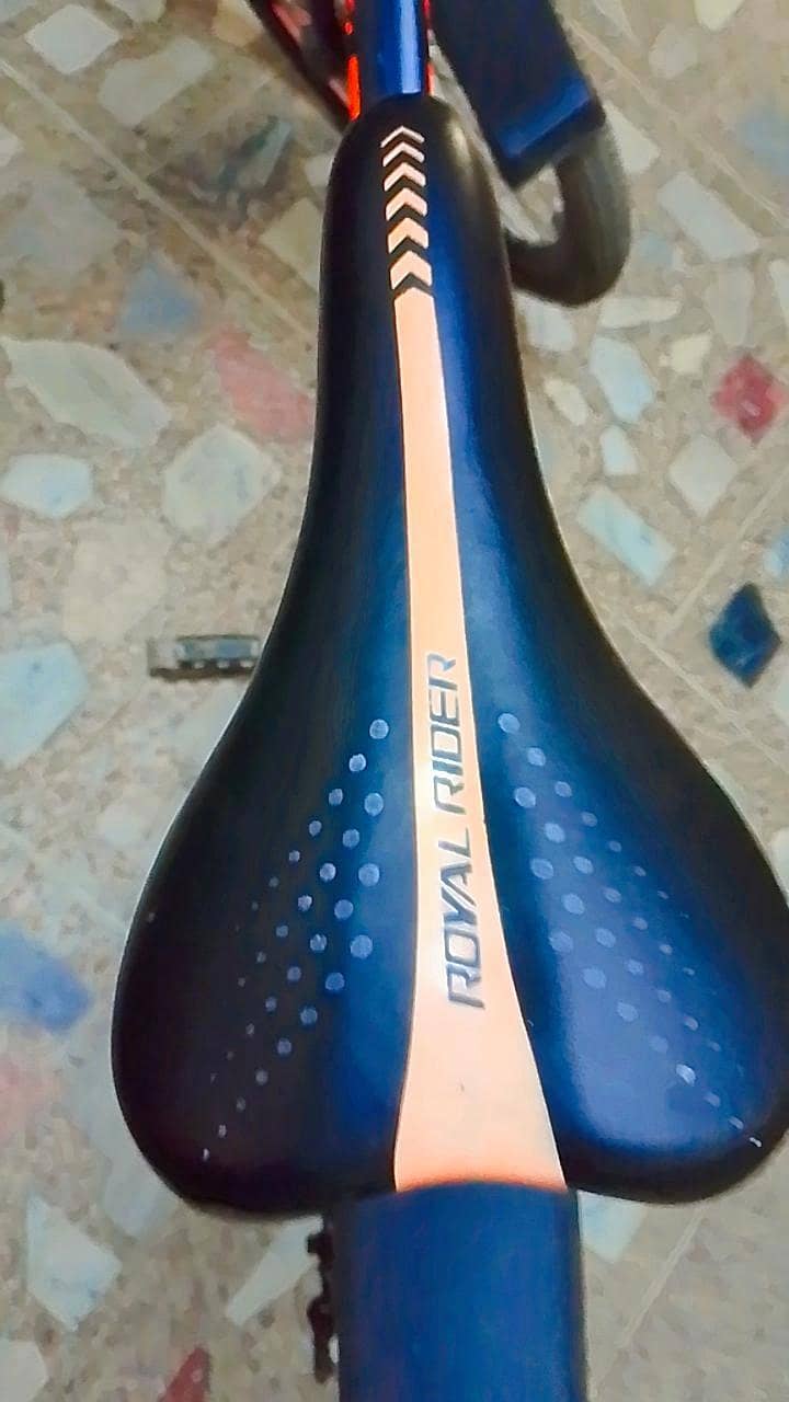 Royal Rider bicycle 12