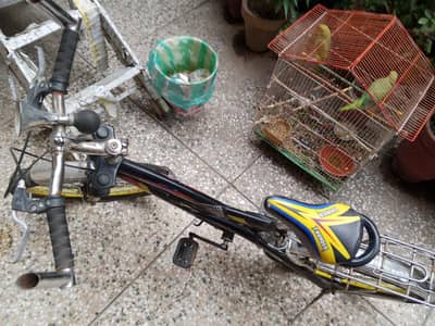 bicycle