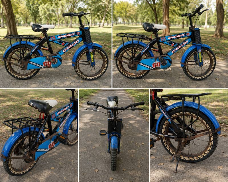 Chicago Cycle 0