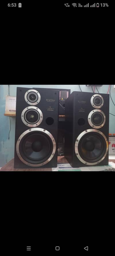 Japanese Victor Woofer Speakers
