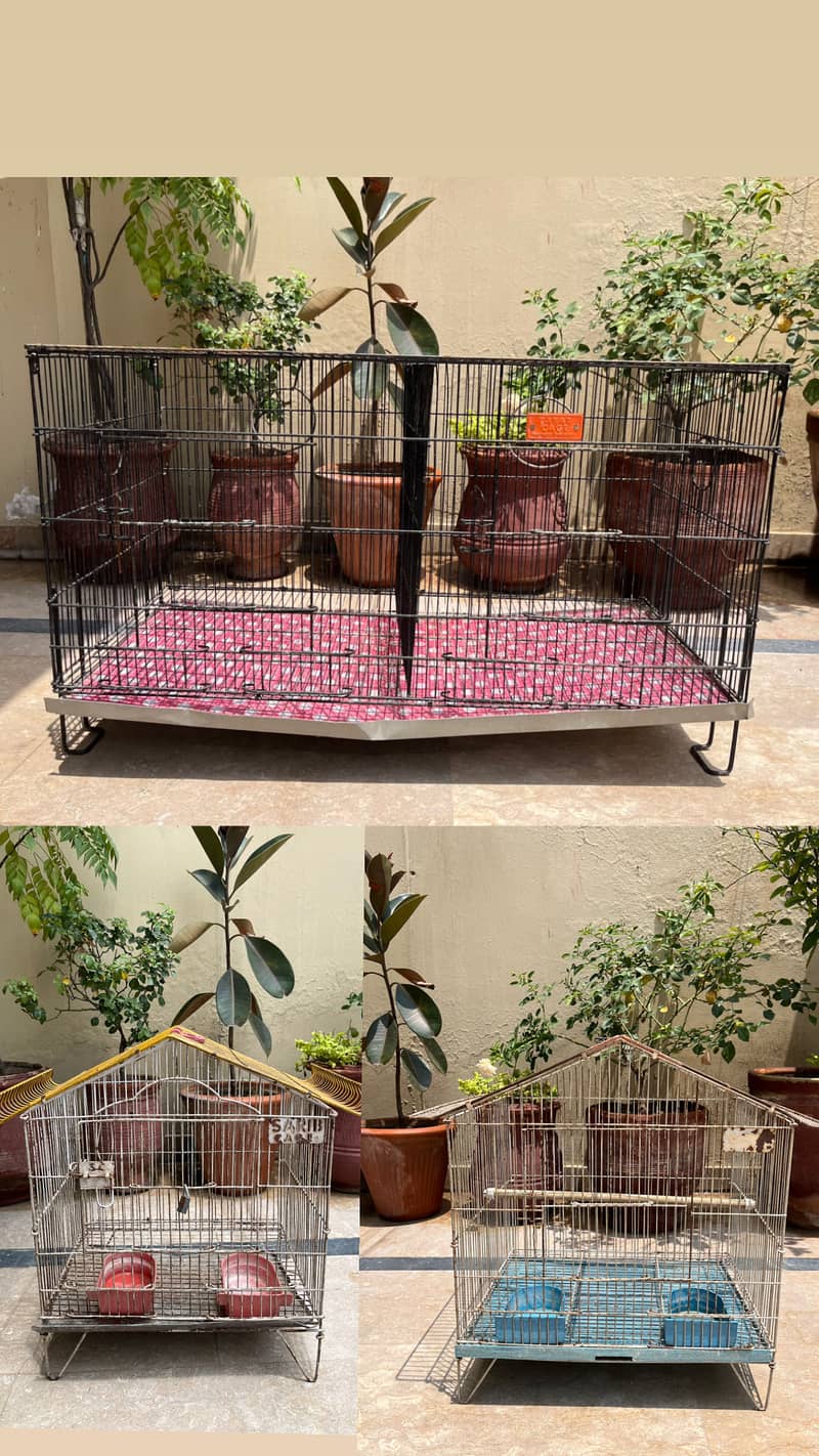 Bird Cages 0