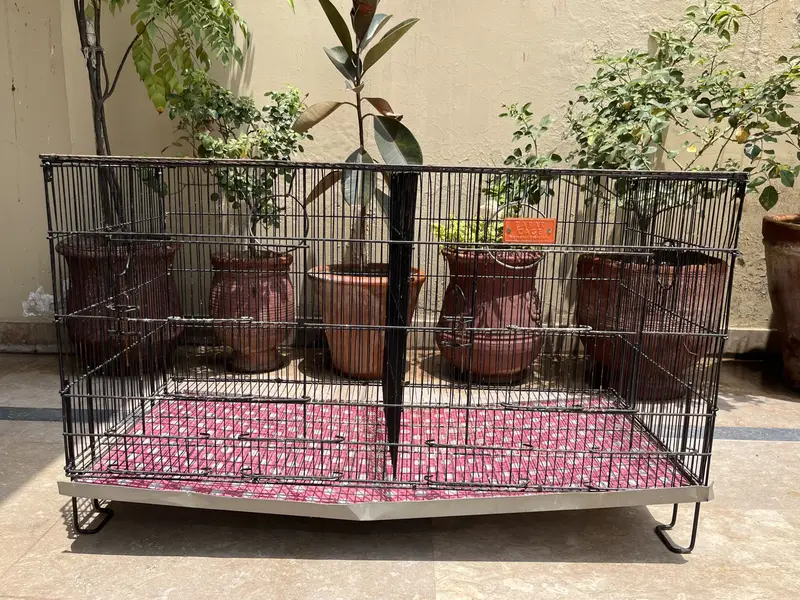 Bird Cages — photo 2