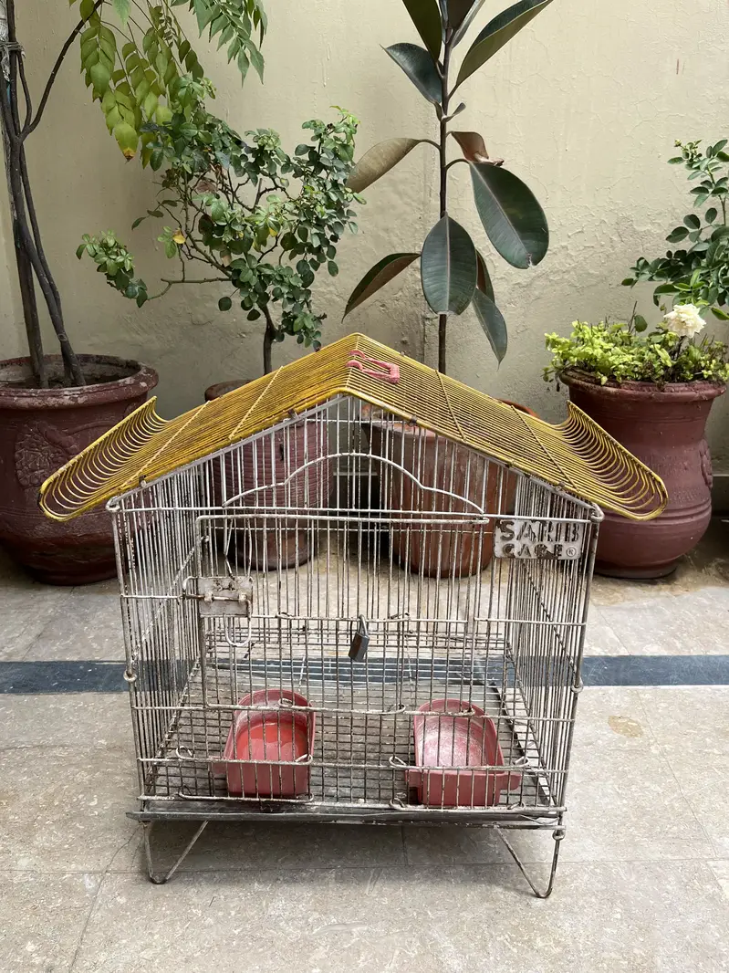 Bird Cages — photo 3