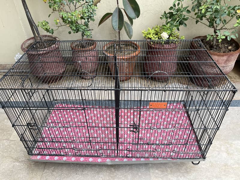 Bird Cages 4