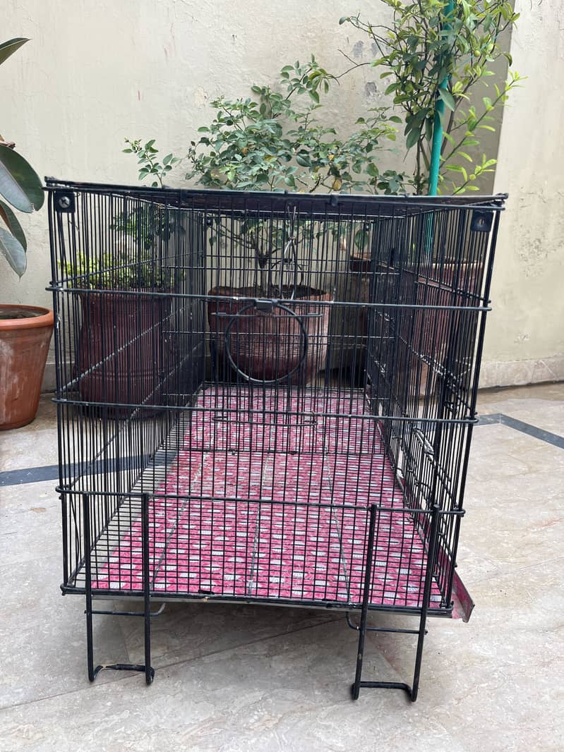 Bird Cages 6
