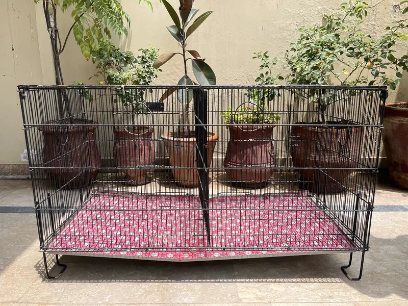 Bird Cages — photo 8