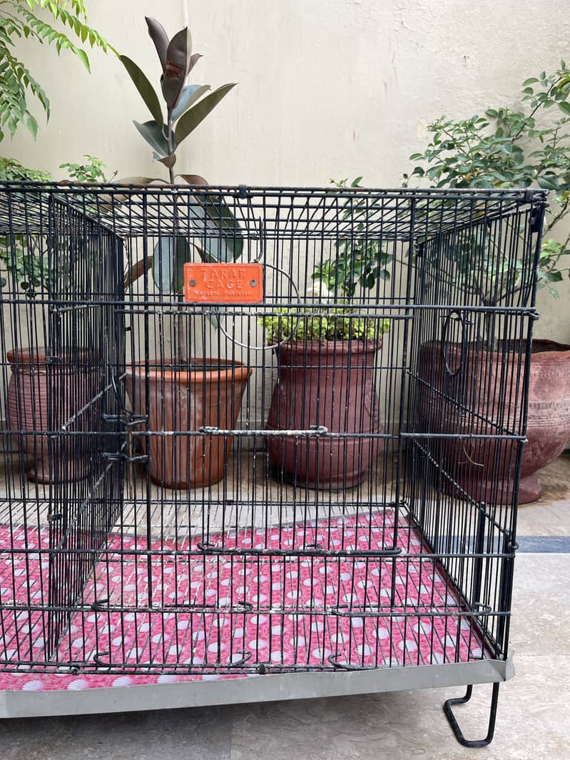 Bird Cages 8