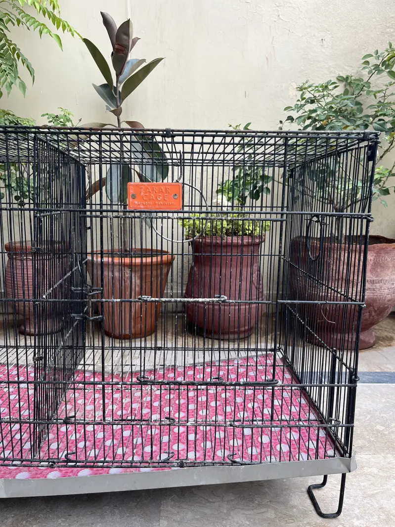 Bird Cages — photo 9