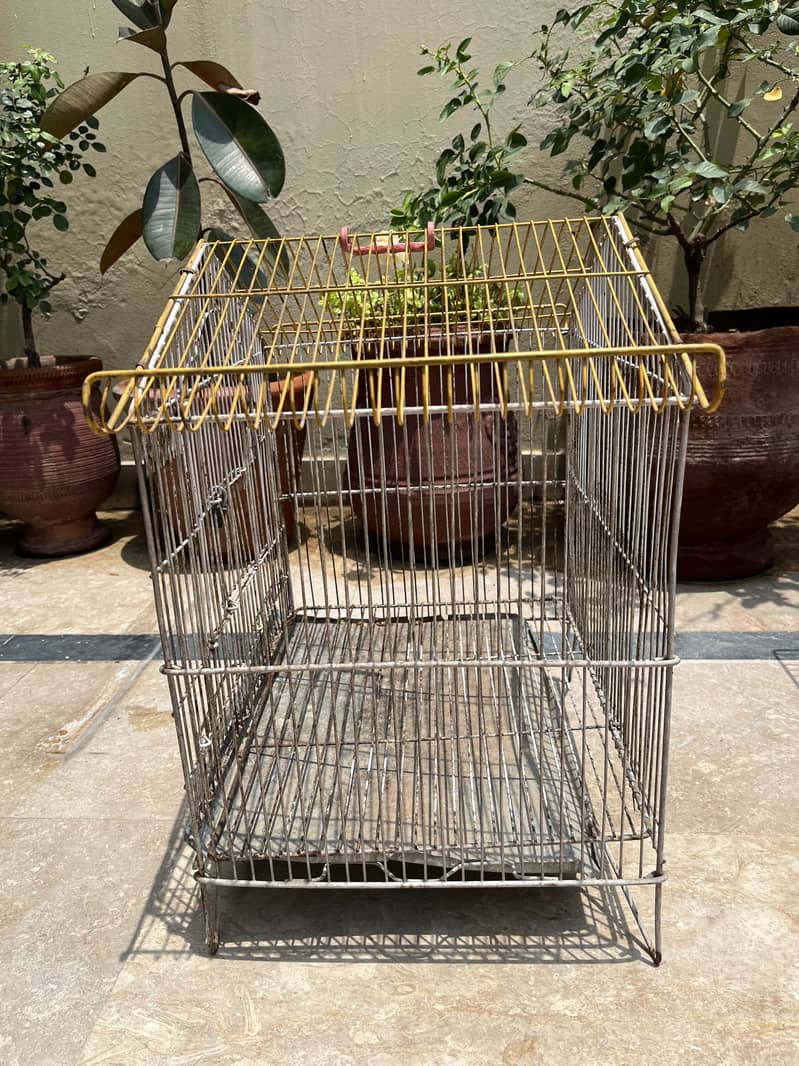 Bird Cages 15