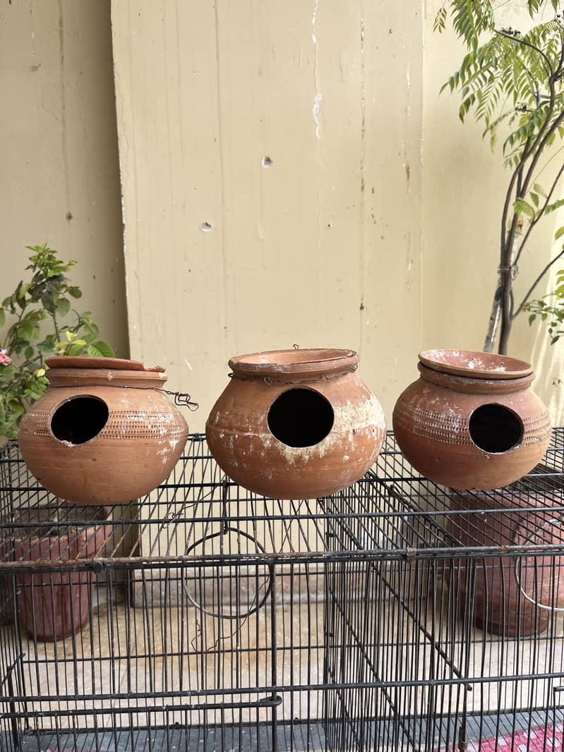 Bird Cages 17