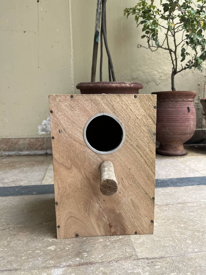Bird Cages 18