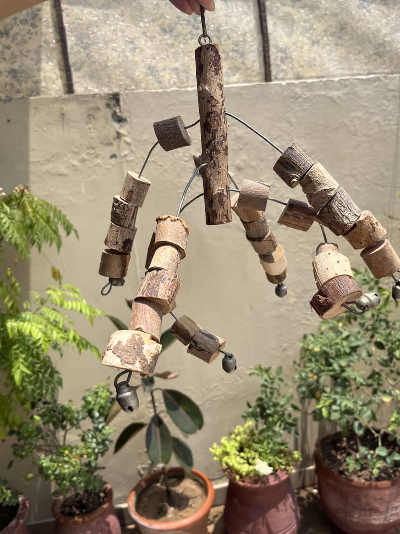 Bird Cages 19
