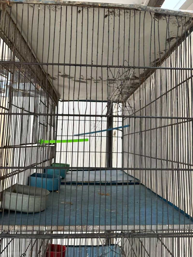 8 portion cage 2