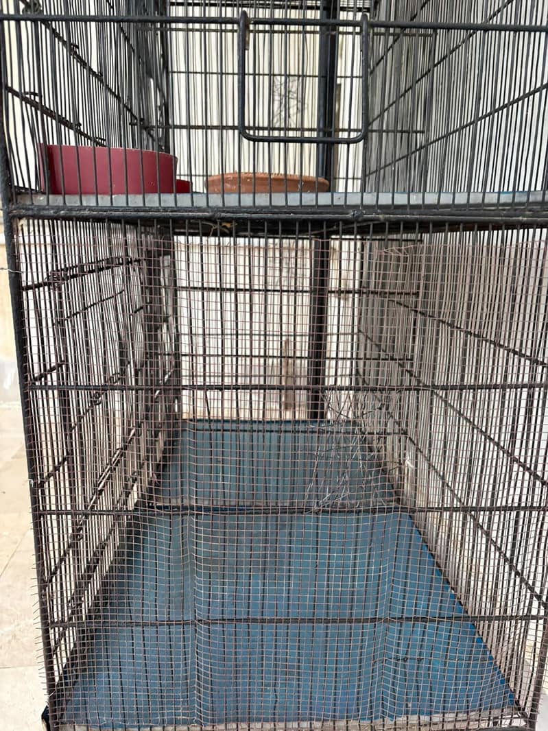 8 portion cage 3