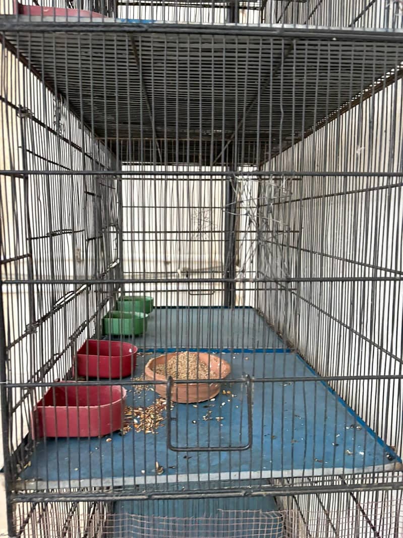 8 portion cage 4