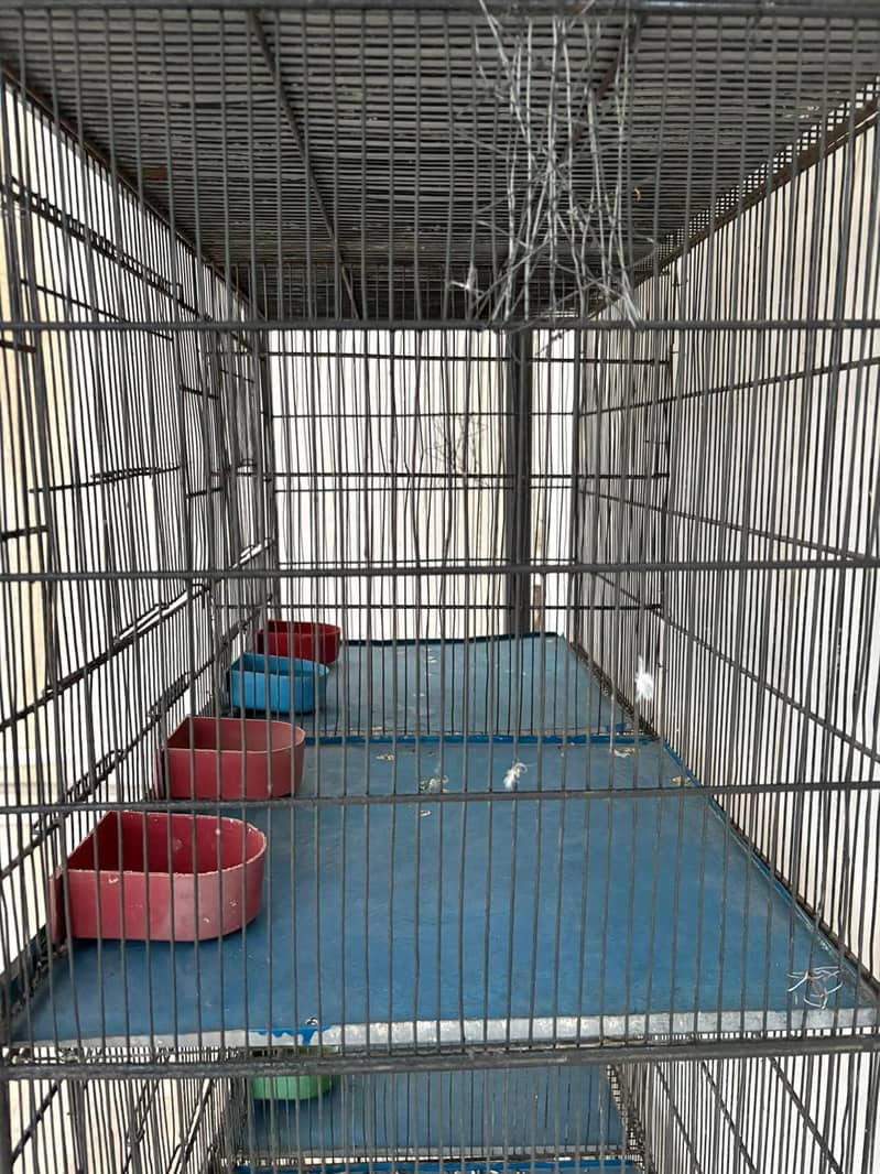 8 portion cage 5
