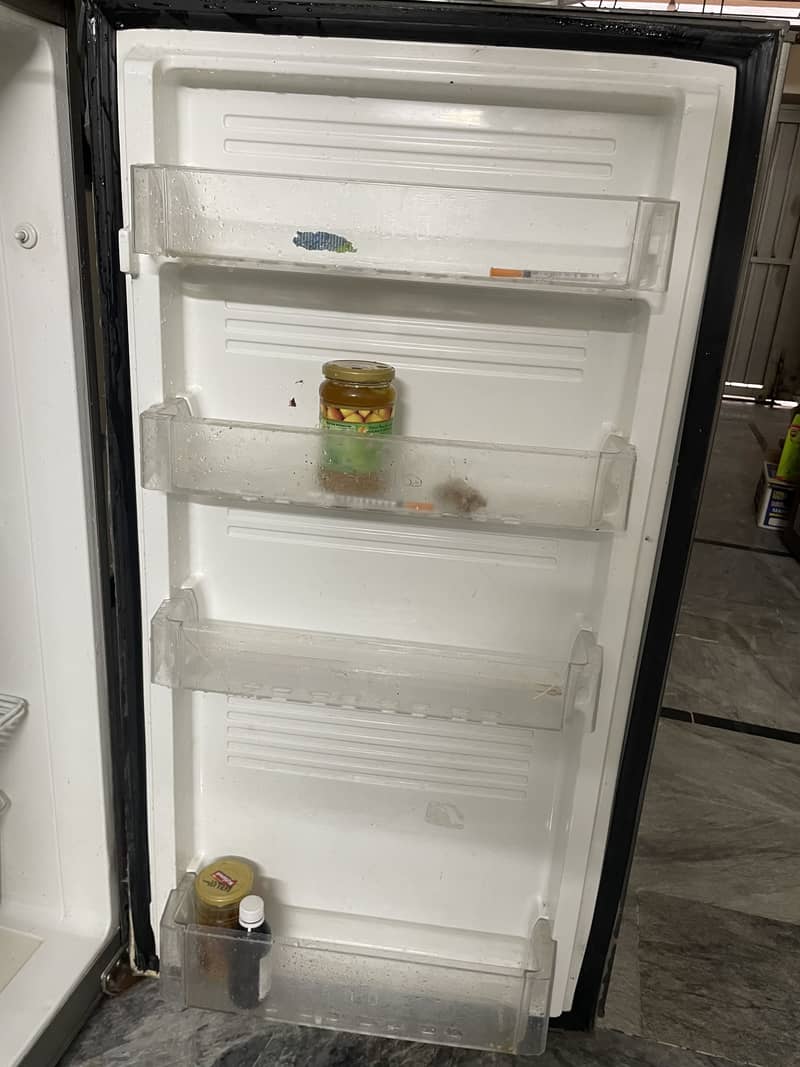 Pel fridge 1