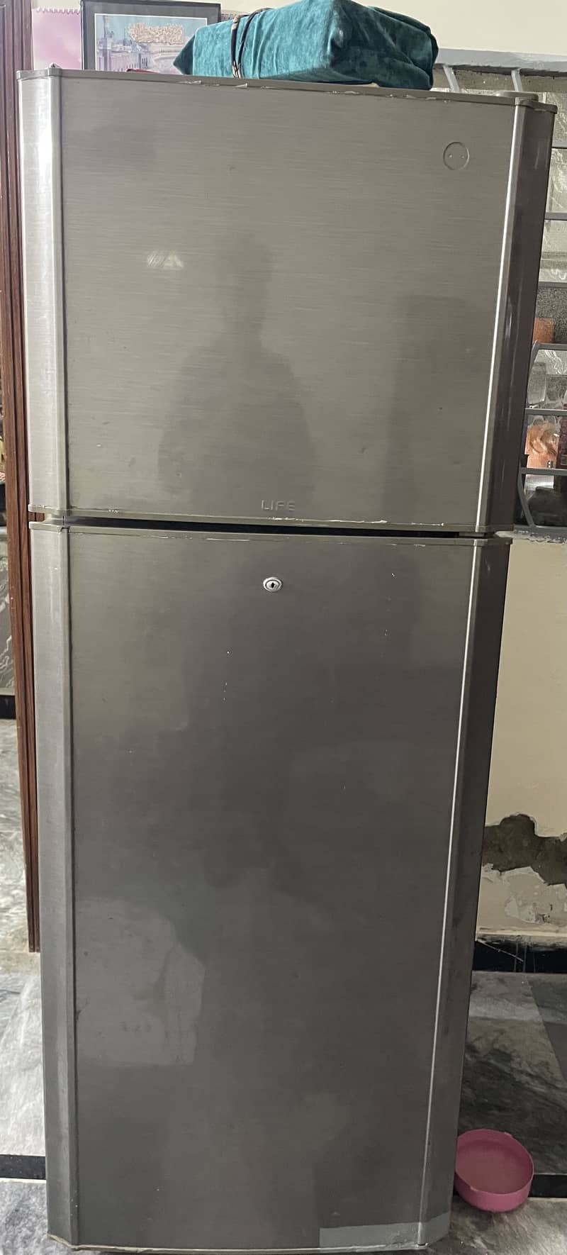 Pel fridge 3