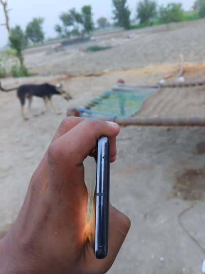 Google Pixel 7 Pro