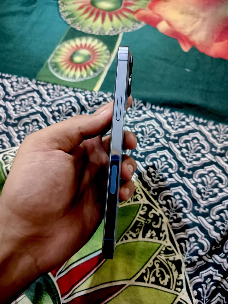 Apple iPhone 13 Pro Max 2