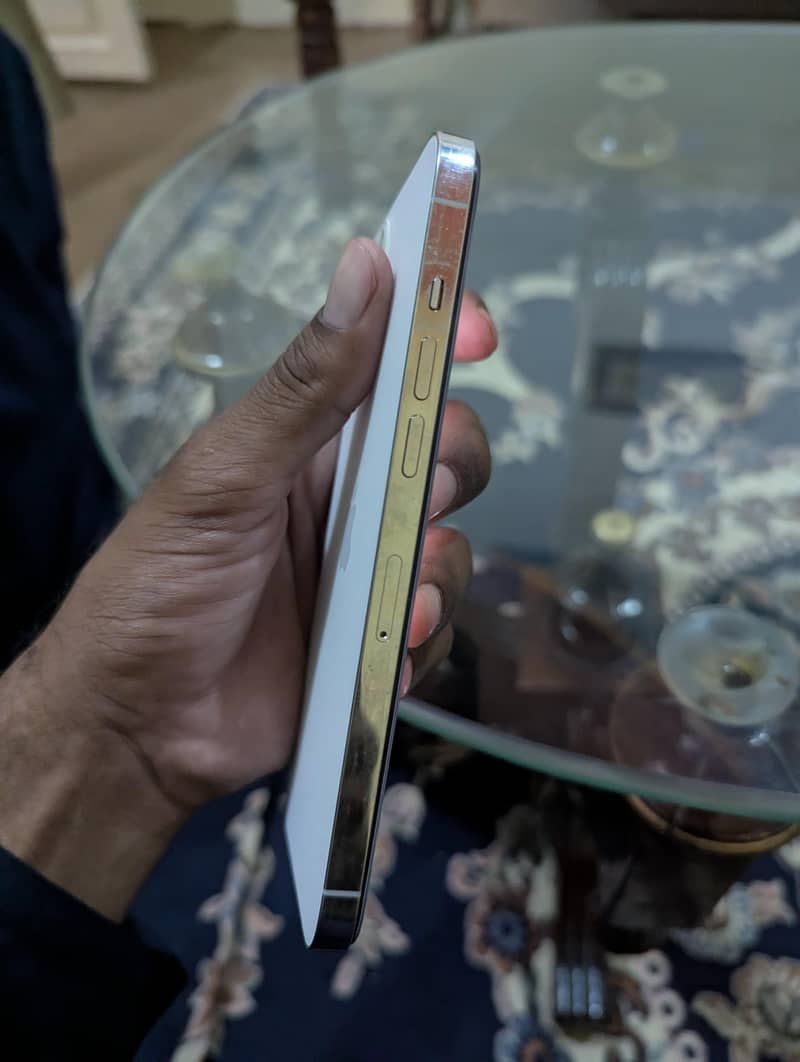 Apple iPhone 12 Pro Max 2