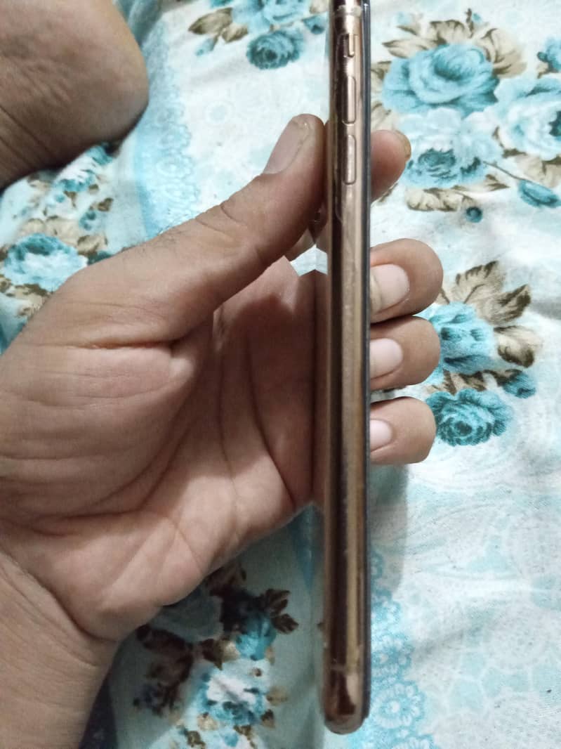 Apple iPhone XS Max 2