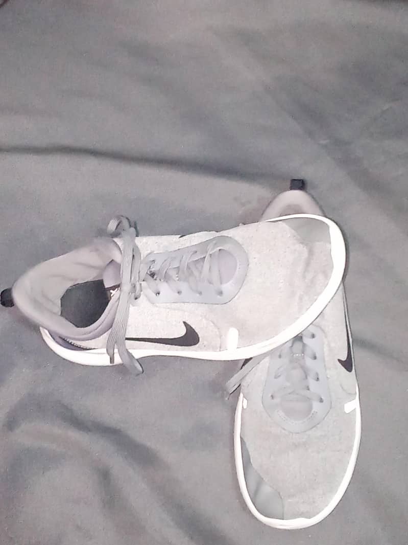 Nike Mens Flex Experience 4