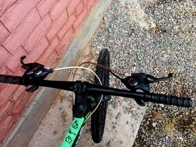 DINOS IMPORTED BICYCLE 1