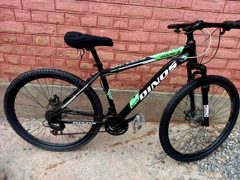 DINOS IMPORTED BICYCLE 2