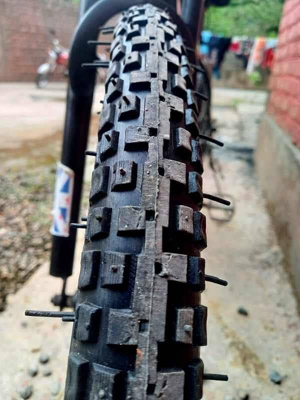 DINOS IMPORTED BICYCLE 5