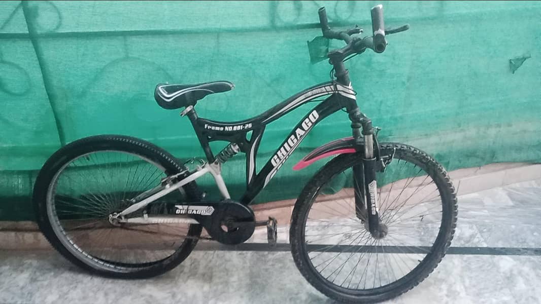 Chicago hybrid bicycle 1
