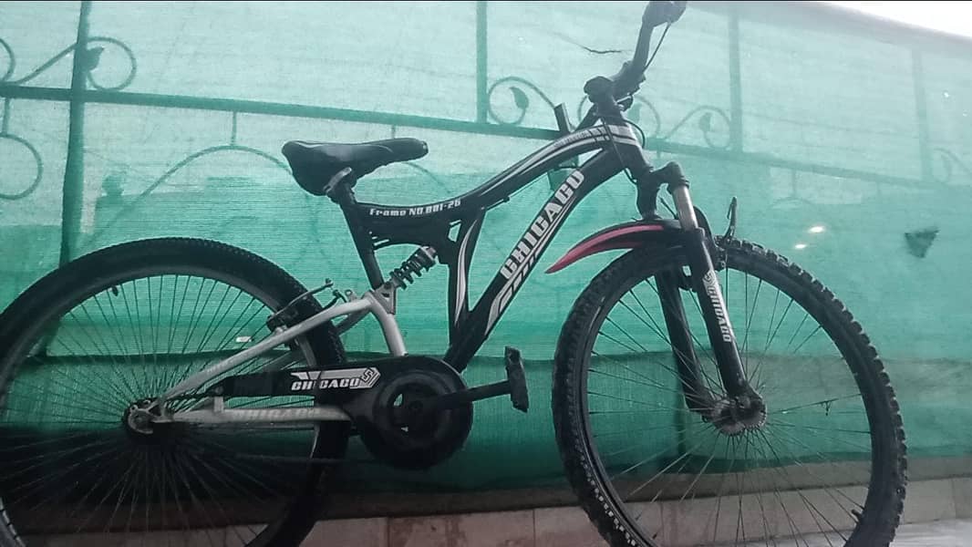 Chicago hybrid bicycle 4