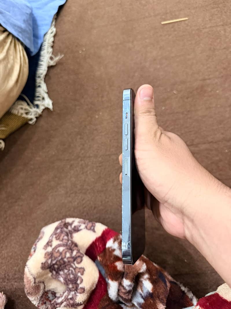 Apple iPhone 13 Pro Max 1