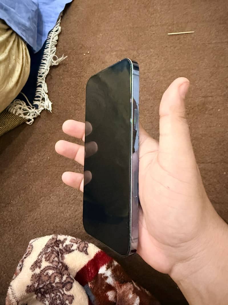 Apple iPhone 13 Pro Max 4
