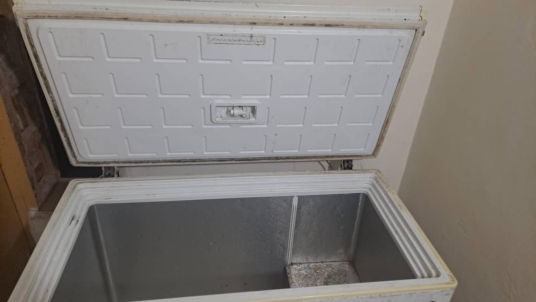 Pel deep freezer 1