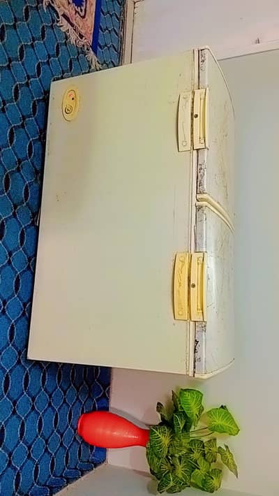 double door deep freezer