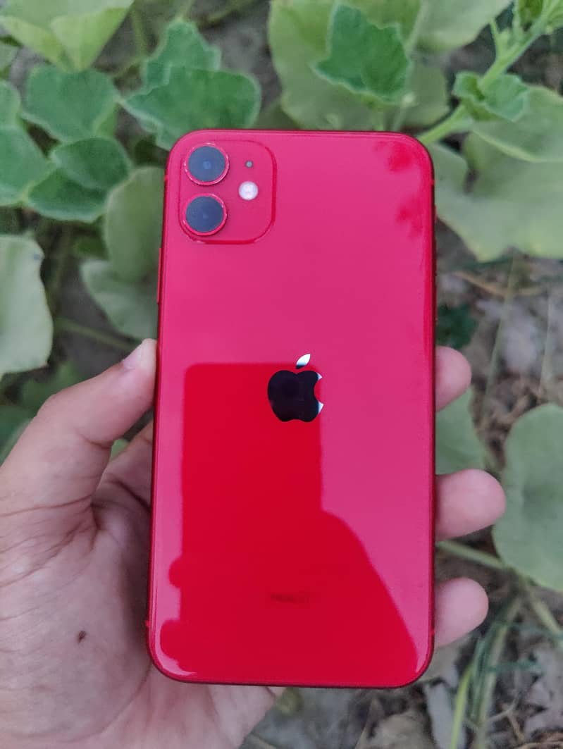 Apple iPhone 11 0