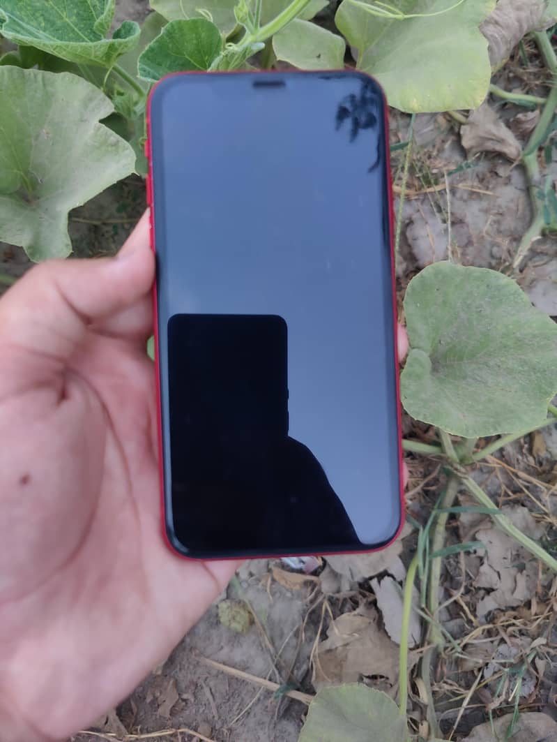 Apple iPhone 11 1