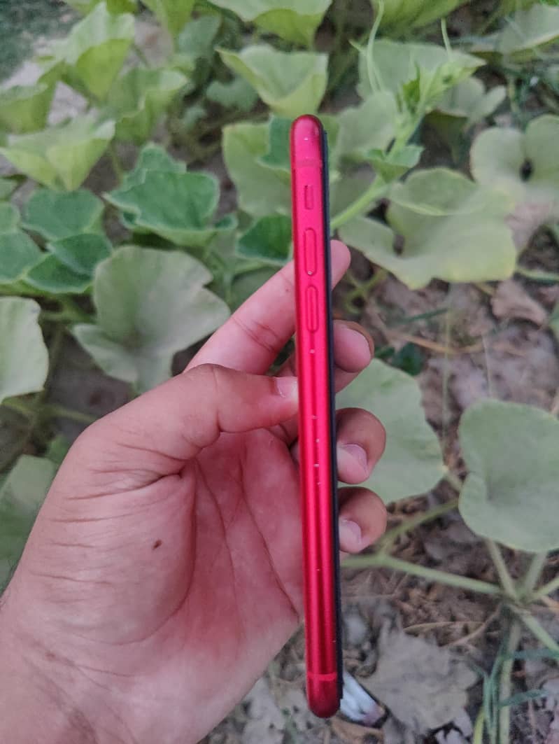 Apple iPhone 11 2