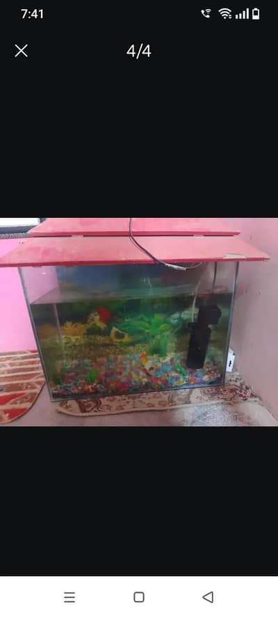 aquarium for sale