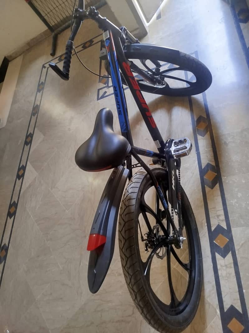 Mountain bicycle 1