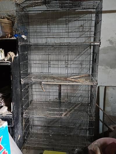 12 portion Cage 1