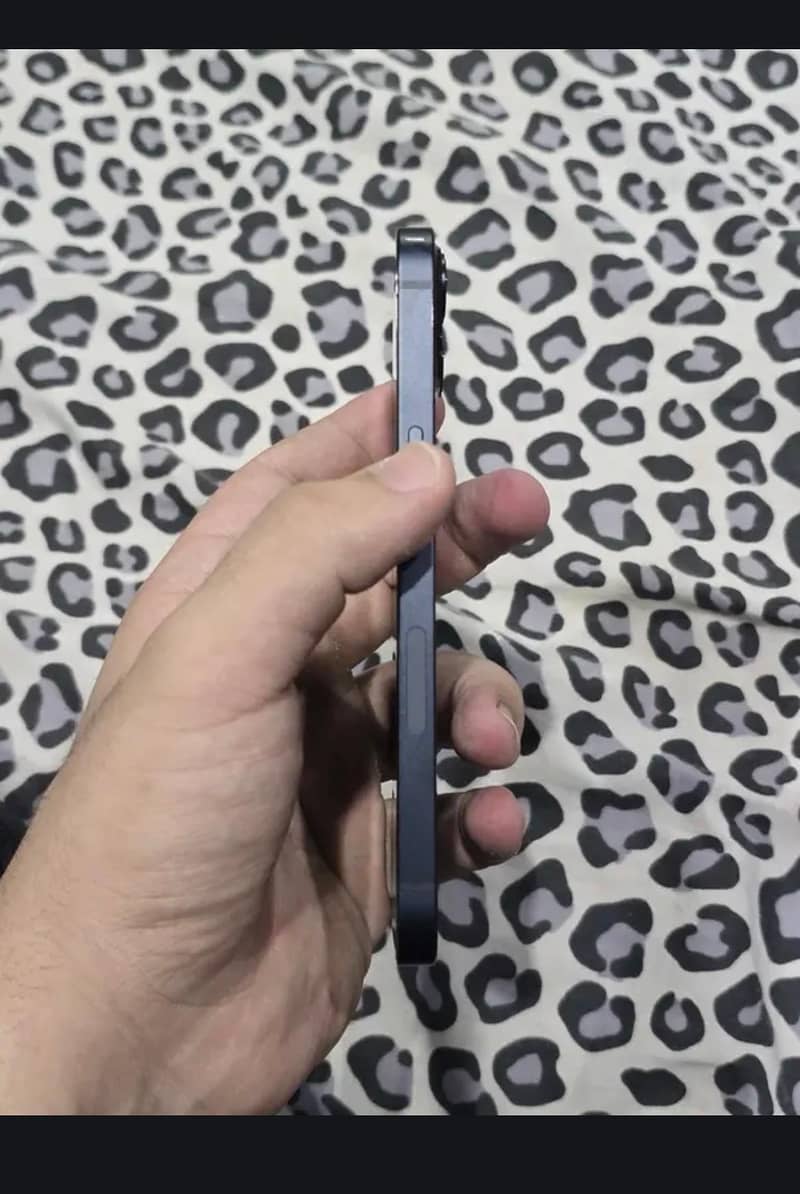 Apple iPhone 13 0