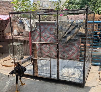 Strong Welded Colony Cage For Sale